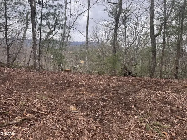2821 Cedar Falls Way, Sevierville, TN 37862