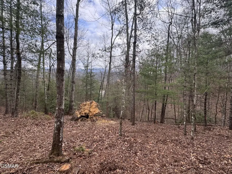 2821 Cedar Falls Way, Sevierville, TN 37862 - #3
