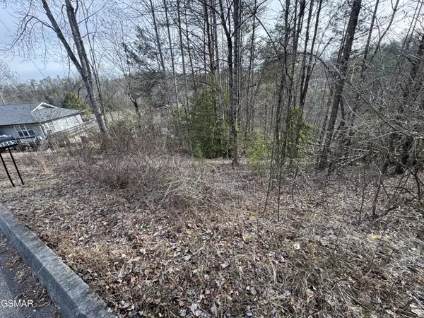 11 Katelyns Lane, Sevierville, TN 37876