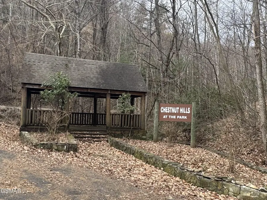 18 Hikers Path Lane, Sevierville, TN 37876 - #2