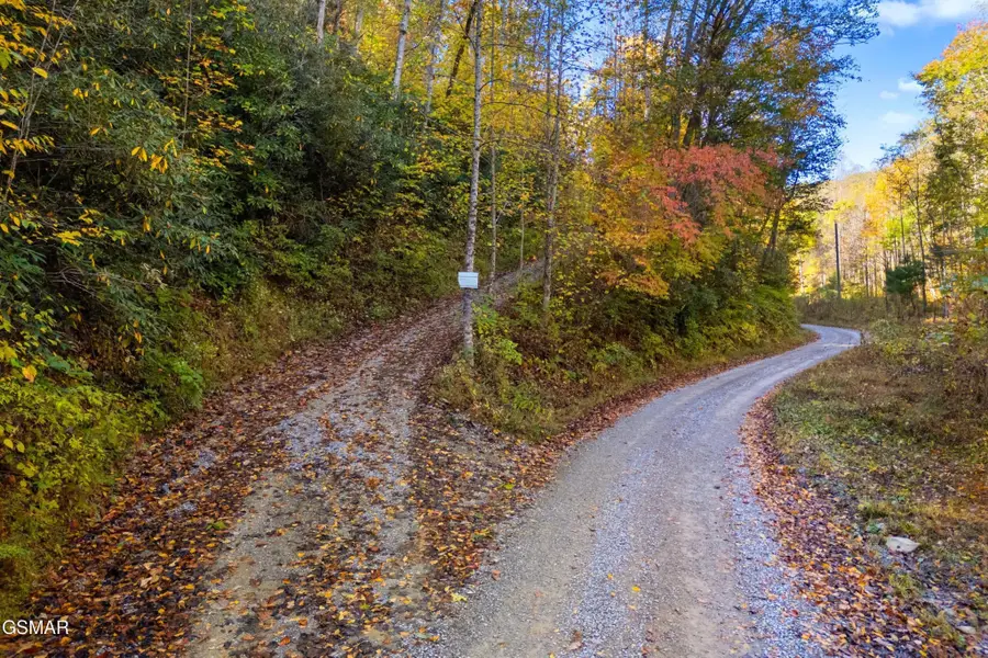 537 Reece Hollow, Del Rio, TN 37727 - #2