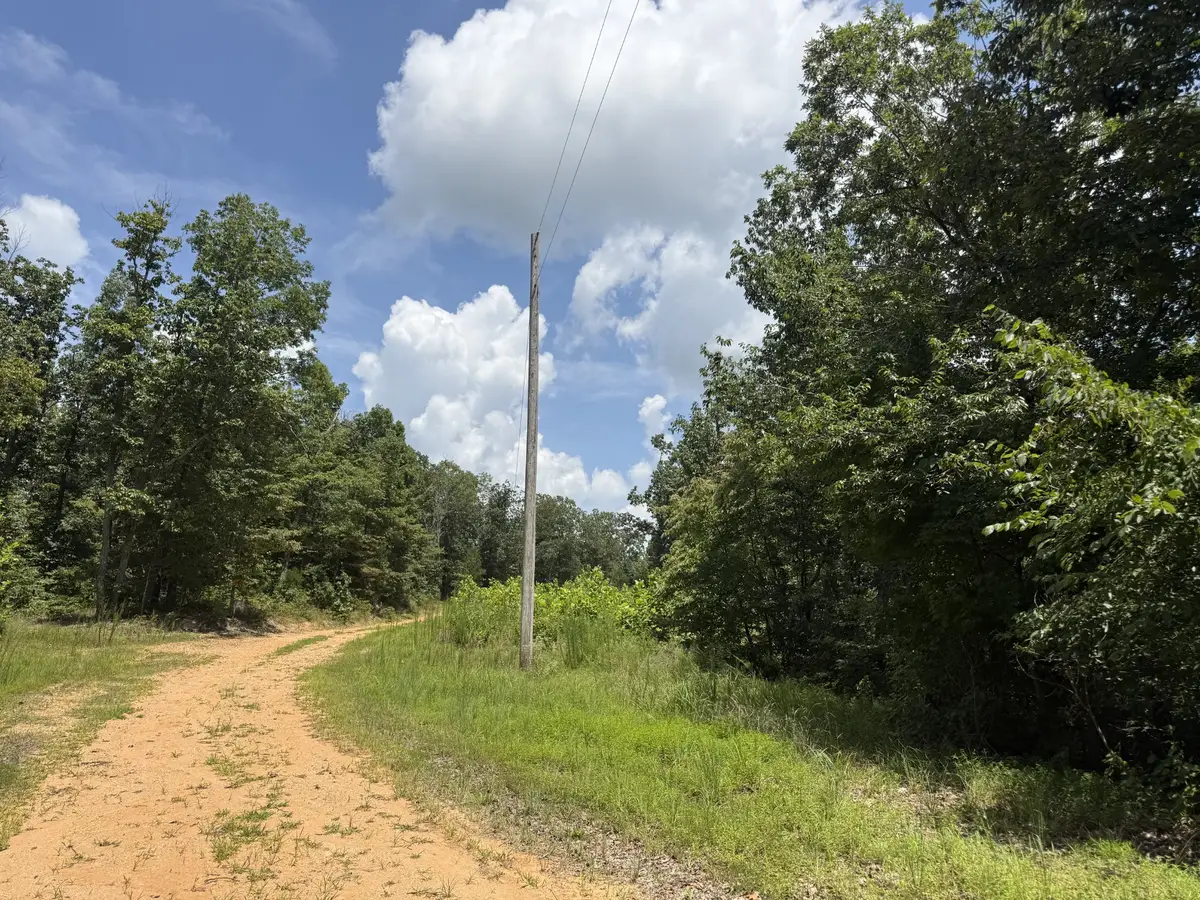 0 Petty Drive, Linden, TN 37096 - #1