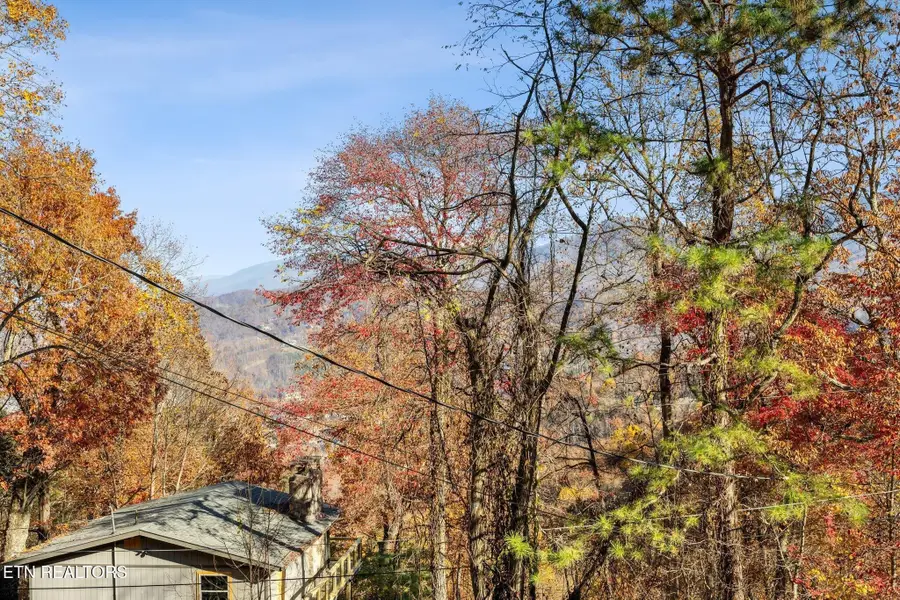 1536 Zurich Rd Rd, Gatlinburg, TN 37738 - #2