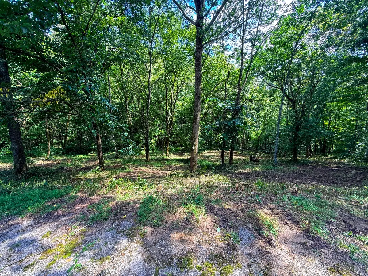 0 Savannah Dr, Smithville, TN 37166 - #1