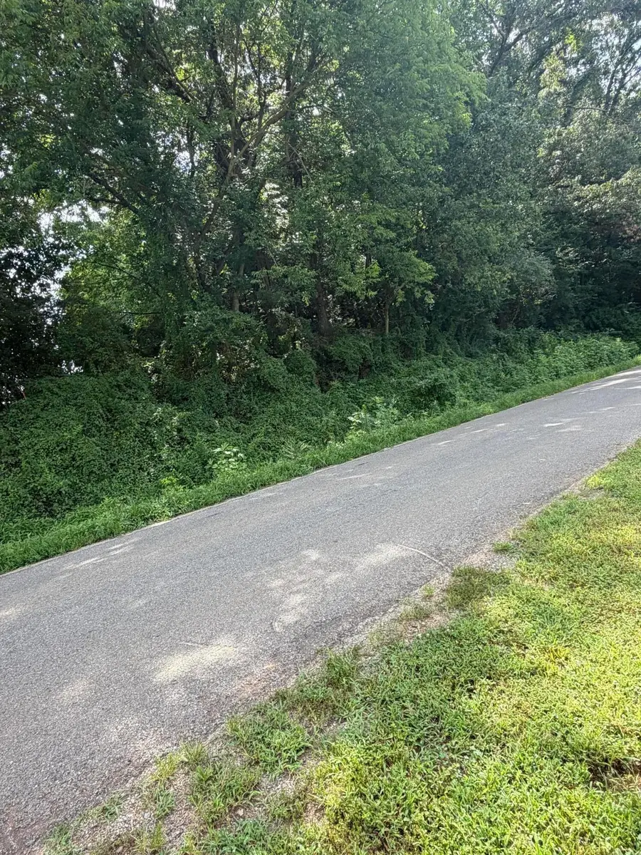 143 Randolph Fridley Road, Sweetwater, TN 37874 - #2
