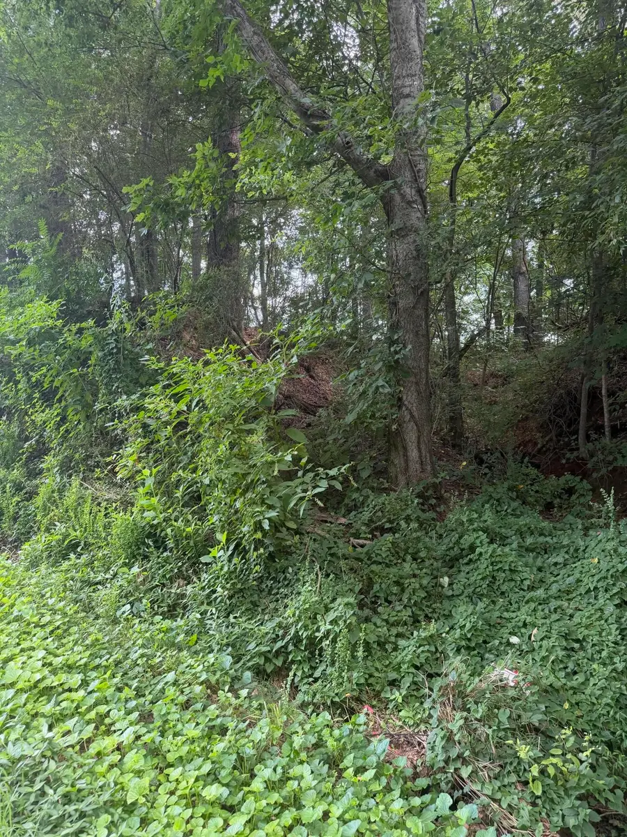 143 Randolph Fridley Road, Sweetwater, TN 37874 - #3