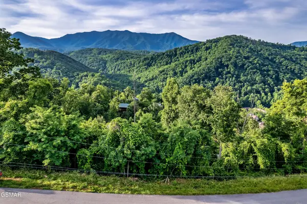 2 Ellis Ogle Road, Gatlinburg, TN 37738