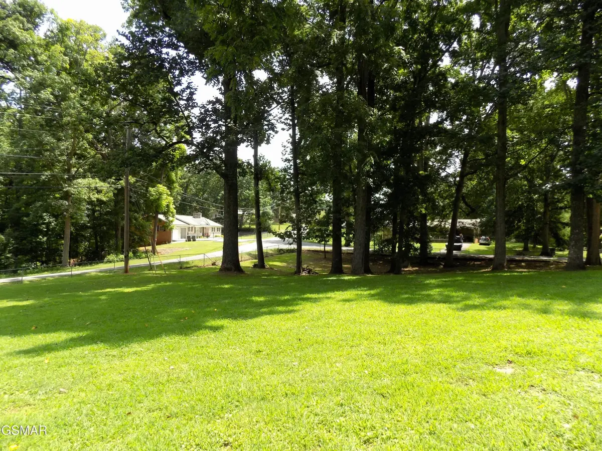 985 Ronald Drive, Talbott, TN 37877 - #1