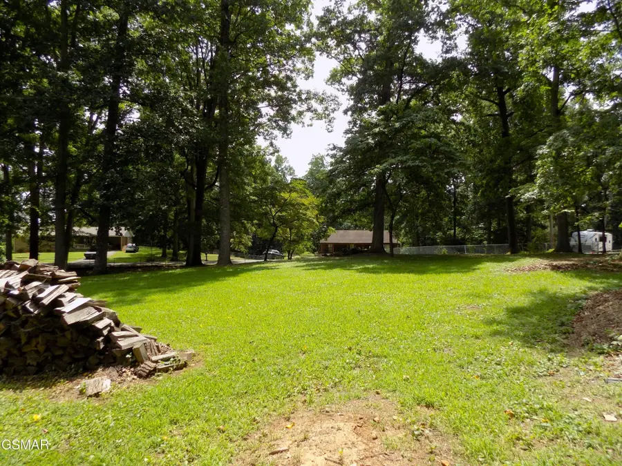 985 Ronald Drive, Talbott, TN 37877 - #3