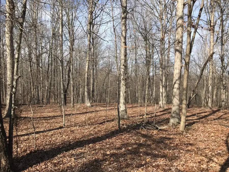 504 Wilderness Way, Dunlap, TN 37327 - #3