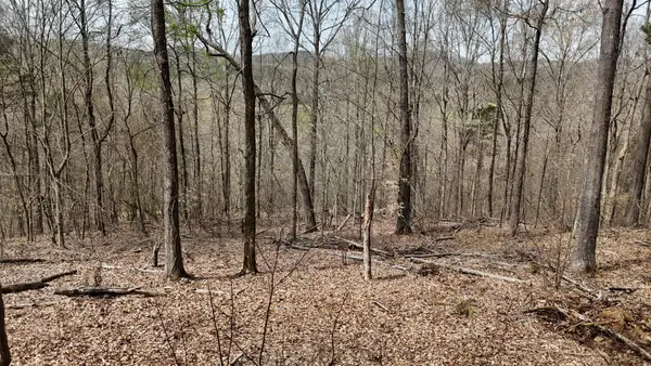 0 Geren Subdivision Lane, Decatur, TN 37322