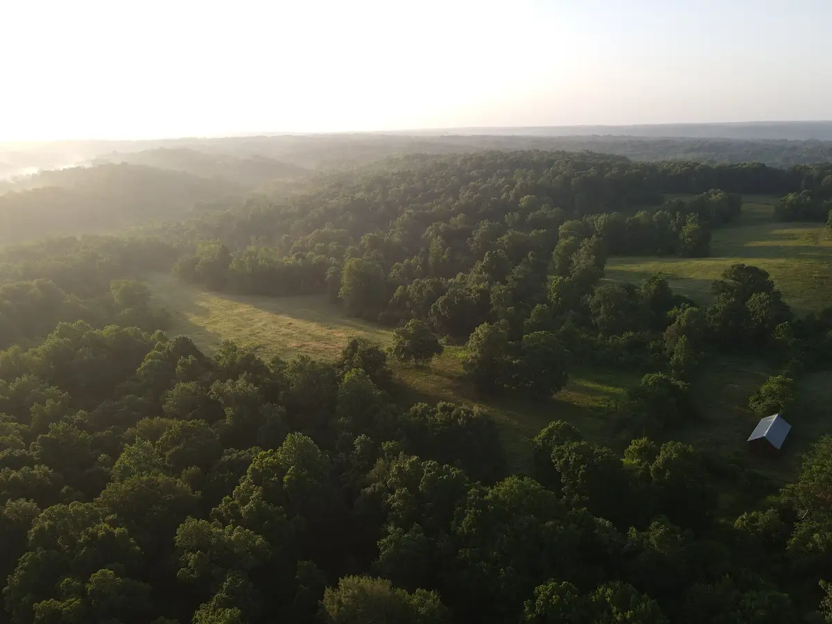 1 Shiloh Canaan Road, Palmyra, TN 37142 - #1