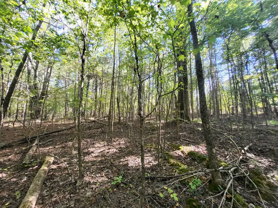 0 Valley Ct, Crossville, TN 38572 - #2