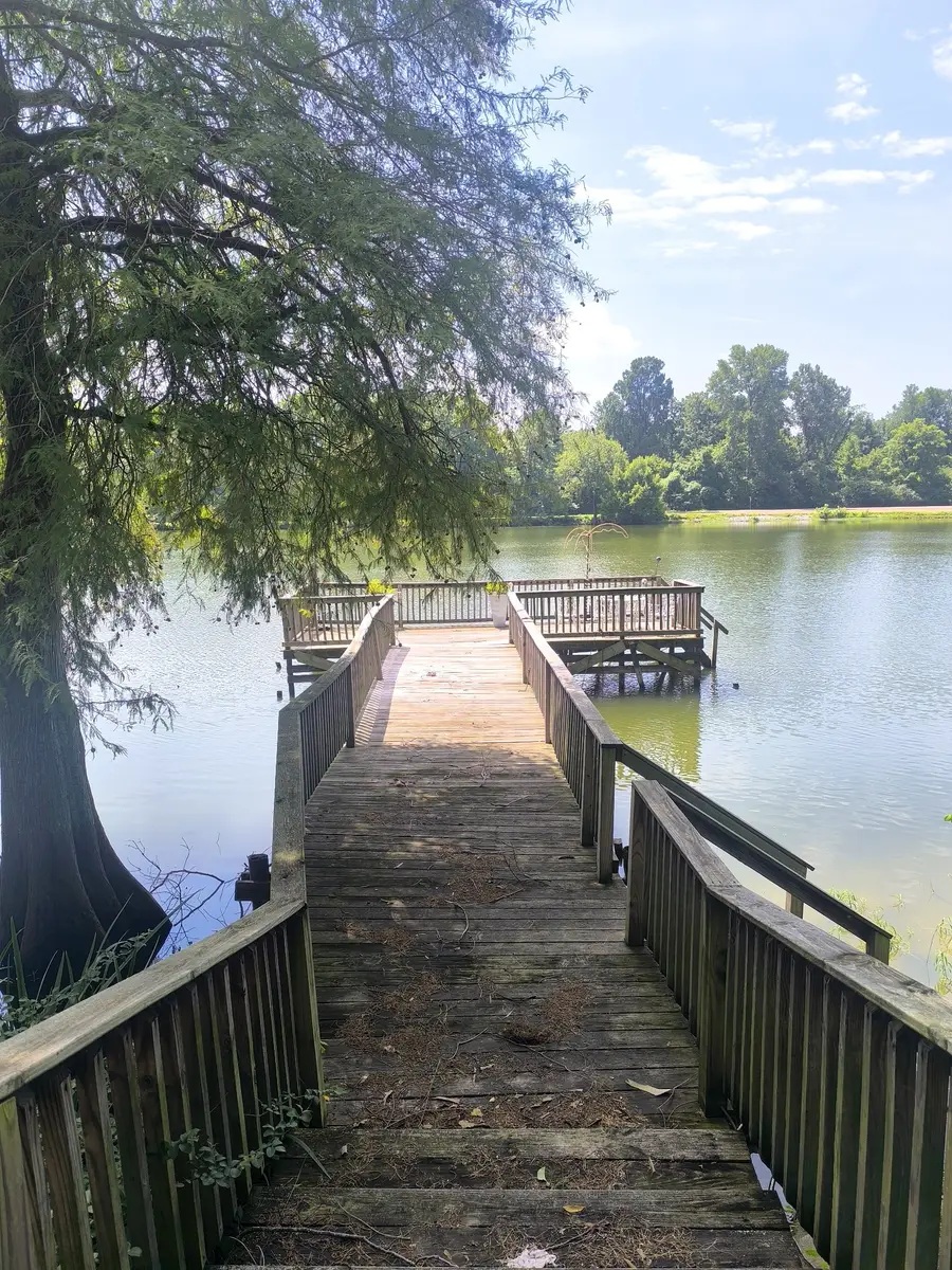 275 Club House Ln, Tiptonville, TN 38079 - #3
