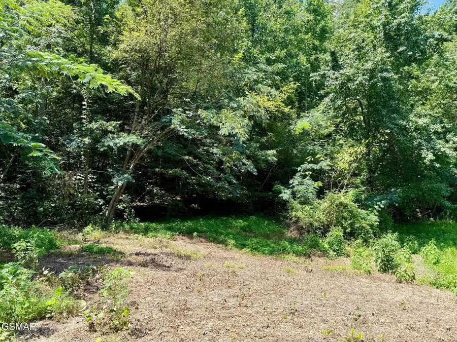 0 Ogle Drive, Pigeon Forge, TN 37863 - #2