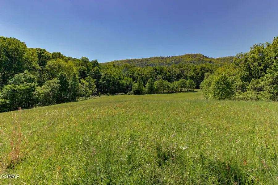 16 Thomas Cross Road, Sevierville, TN 37876 - #2