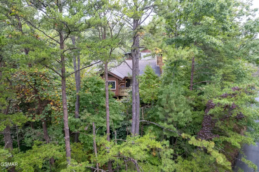 317 Matterhorn Drive, Gatlinburg, TN 37738 - #2