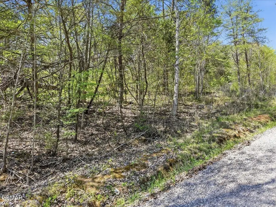 0 Dark Hollow Road, Cosby, TN 37722 - #3