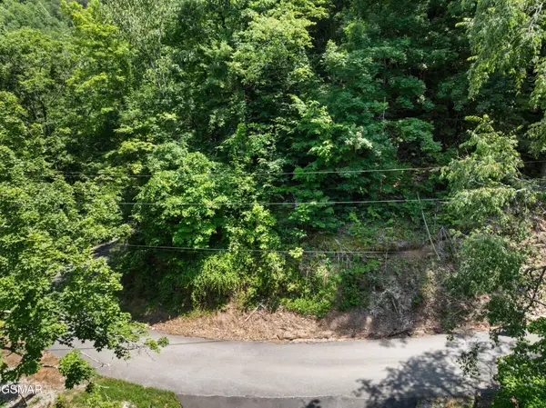 6 Wildcat Ridge Road, Sevierville, TN 37862