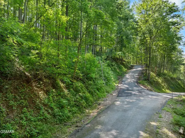 15 Emerald Springs Loop, Sevierville, TN 37862