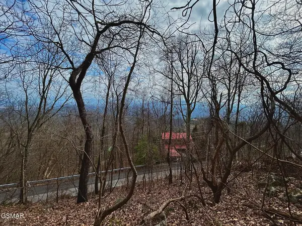 2373 Bluff Mountain Rd Road, Sevierville, TN 37876