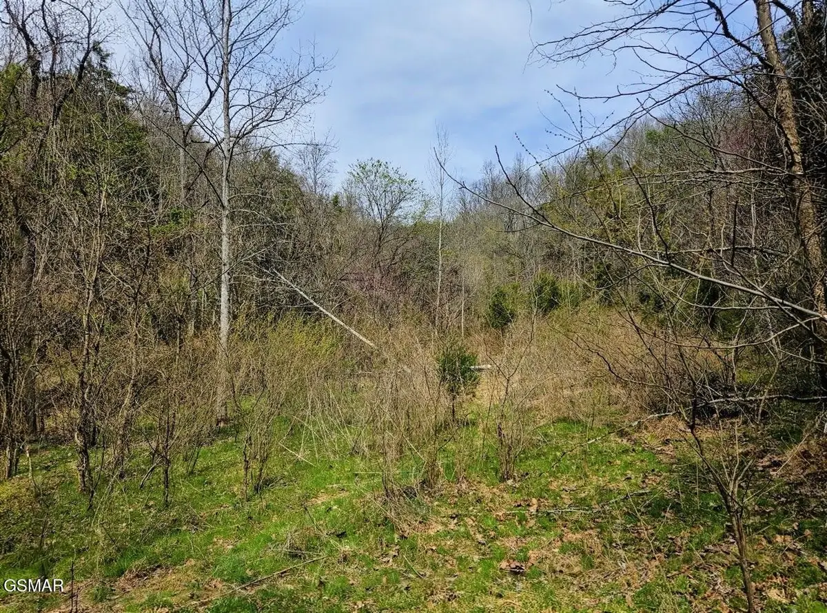 0 Mcamis Hollow Road, Newport, TN 37821 - #1