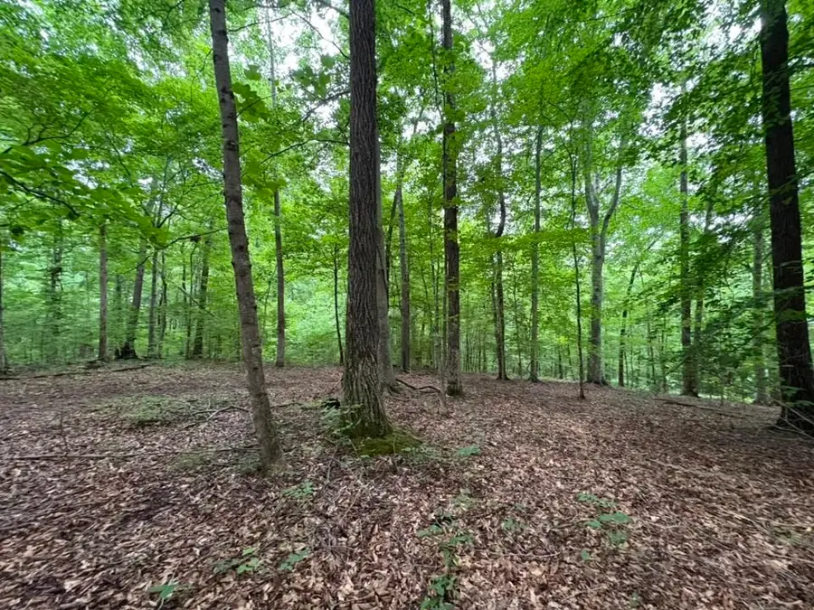 0 Knox Ln, Clarksville, TN 37040 - #3