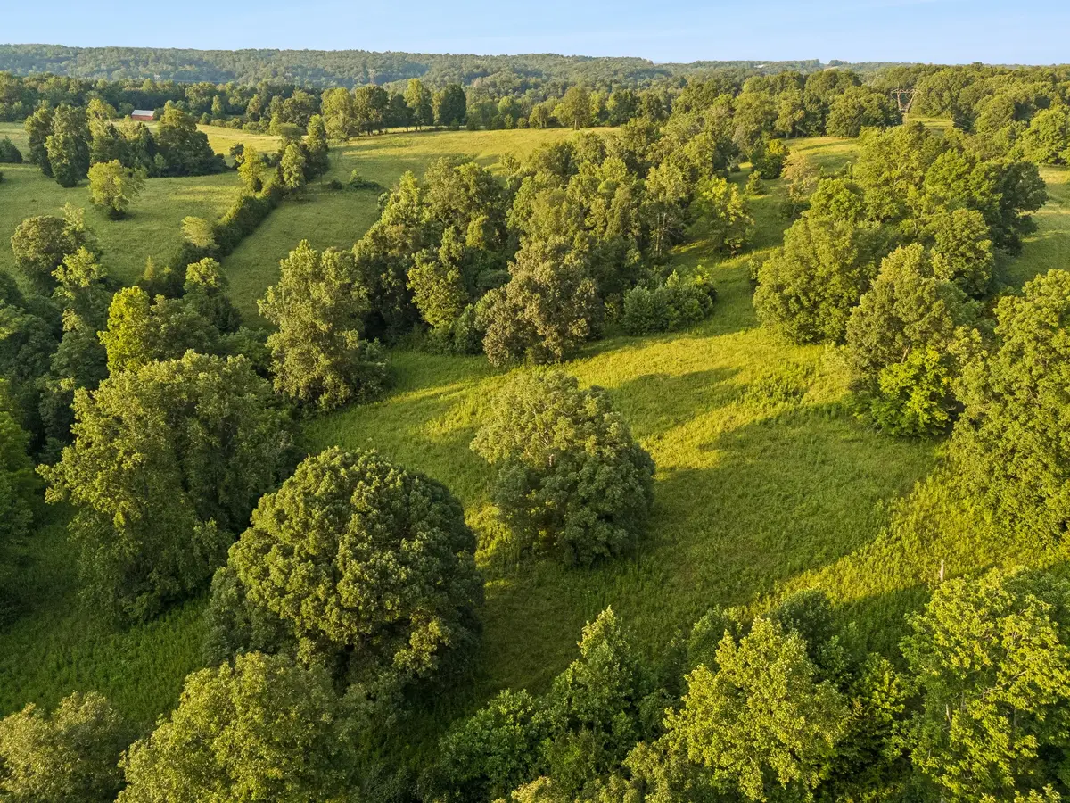 7 Shiloh Canaan Road, Palmyra, TN 37142 - #1