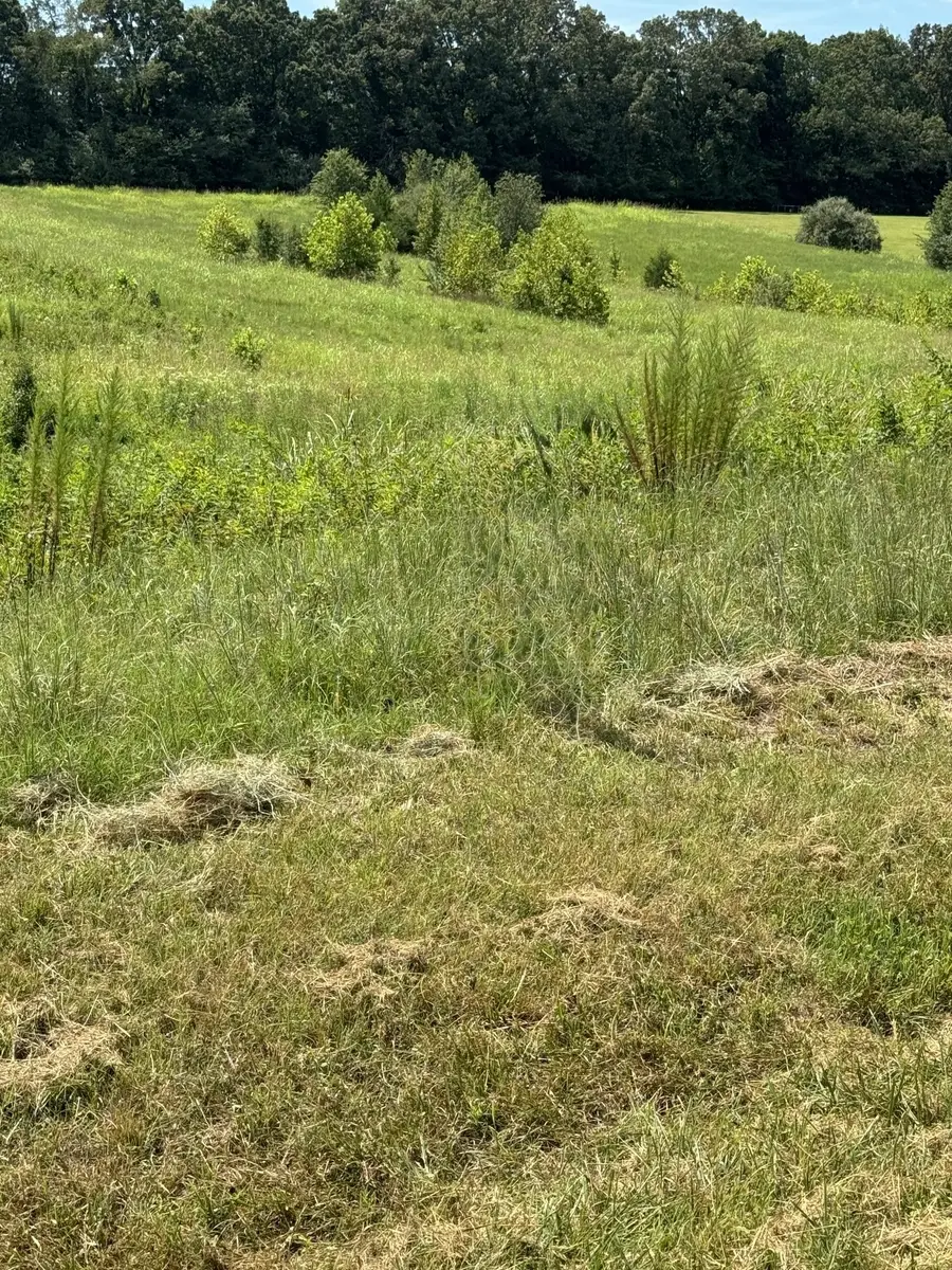 0 Honey Ln, Estill Springs, TN 37330 - #2