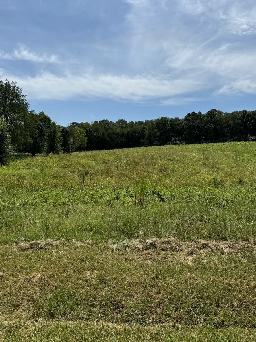 0 Honey Ln, Estill Springs, TN 37330 - #3