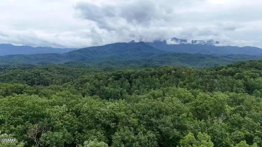 303132 N Highland Drive, Gatlinburg, TN 37738 - #1