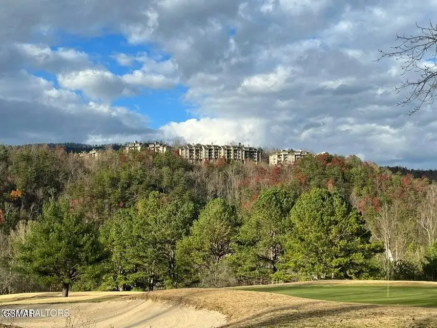 3710 Weber Road #E 306, Gatlinburg, TN 37738 - #3