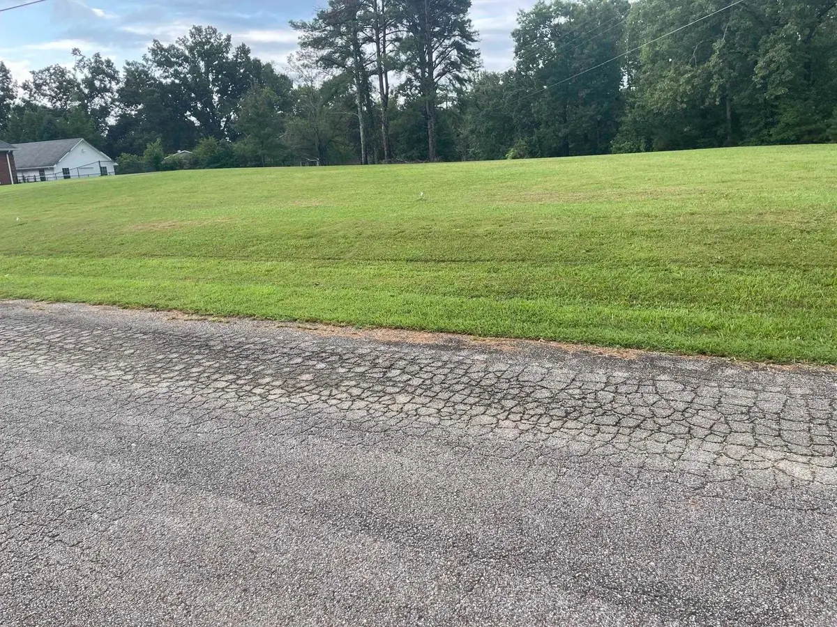 0 Caney Branch Rd, Adamsville, TN 38310 - #1