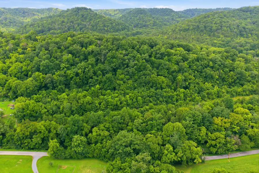 5023 Burt Burgen Rd, Bradyville, TN 37026 - #2
