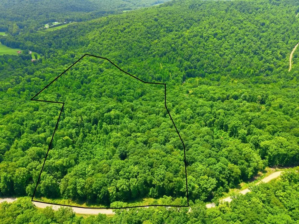 0 Tomahawk Rd, Jamestown, TN 38556 - #1
