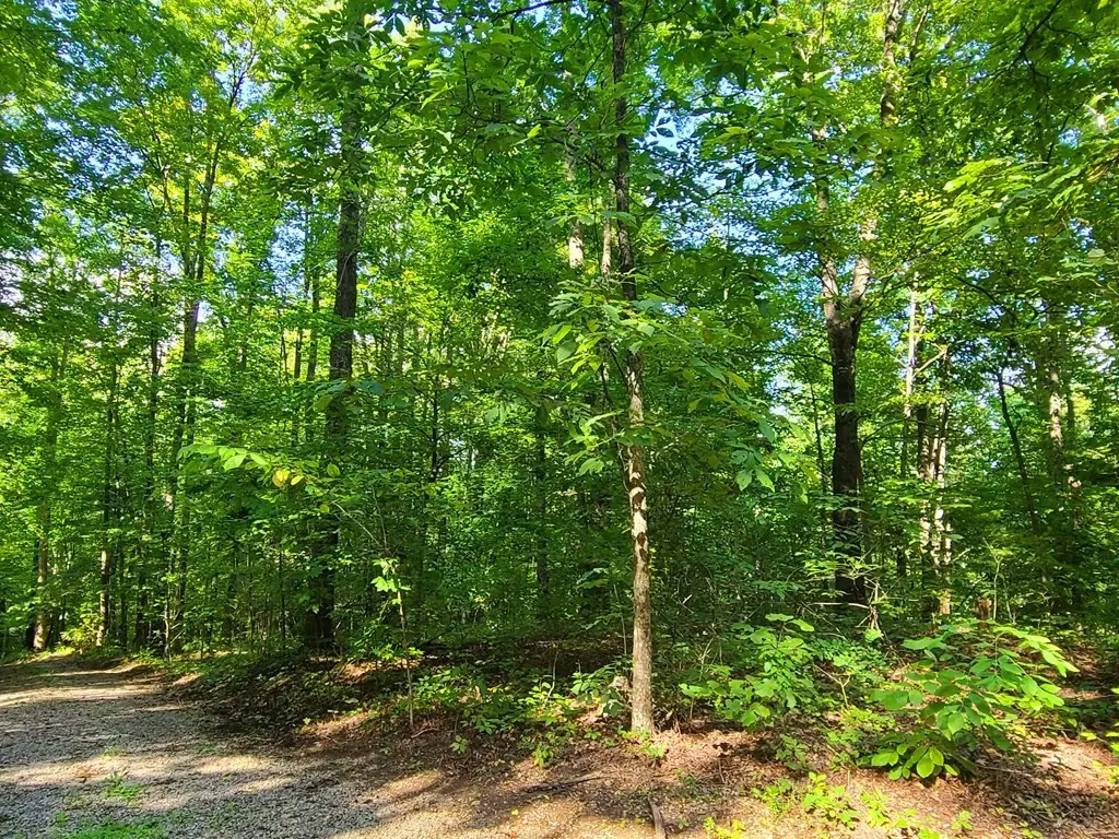 9 Walden Flats Way, Sevierville, TN 37862 - #1