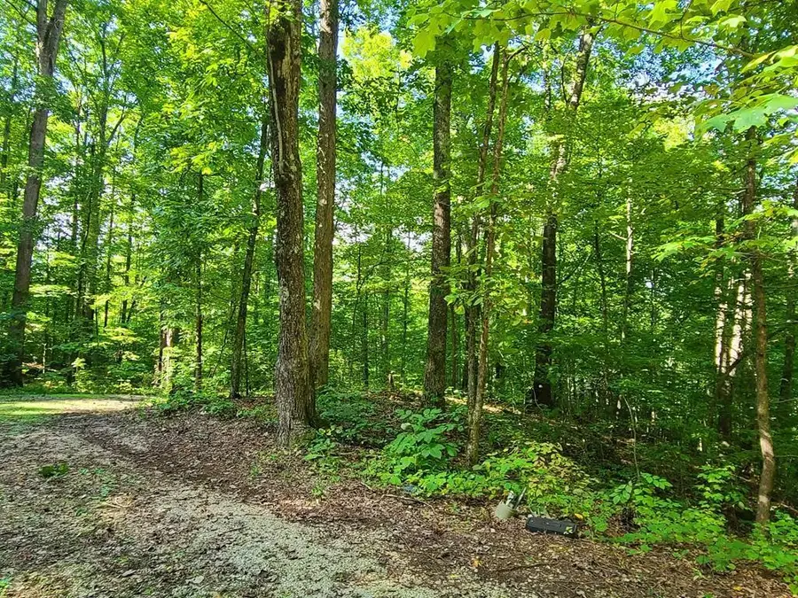 9 Walden Flats Way, Sevierville, TN 37862 - #2