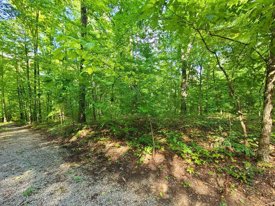 9 Walden Flats Way, Sevierville, TN 37862 - #3