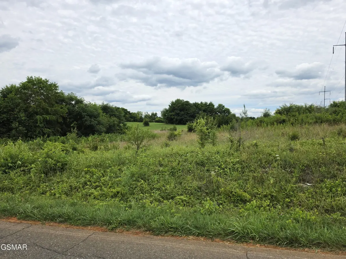 18 Baker Springs Road, White Pine, TN 37890 - #1