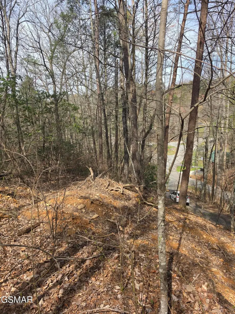101 Ridgefield Dr., Sevierville, TN 37876 - #3