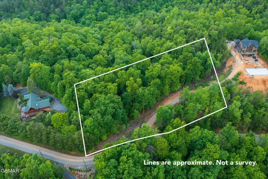 62 Pinnacle Vista Road, Gatlinburg, TN 37738 - #2