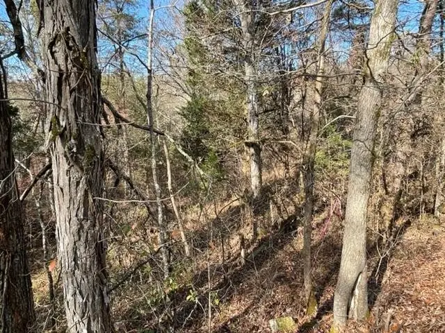 71 Happy Hollow Lane Lane, Sevierville, TN 37876 - #2