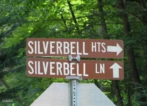 329 Silverbell Lane, Gatlinburg, TN 37738 - #1