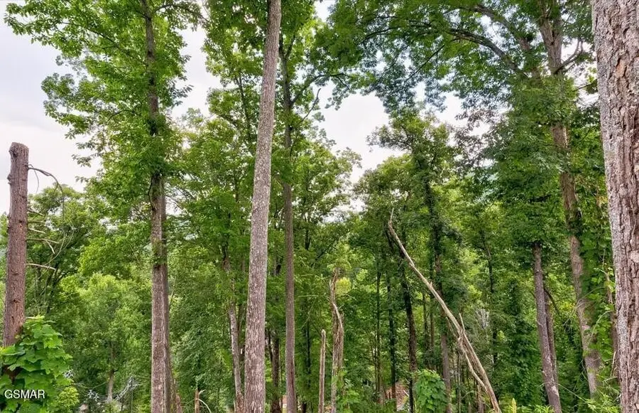 329 Silverbell Lane, Gatlinburg, TN 37738 - #3