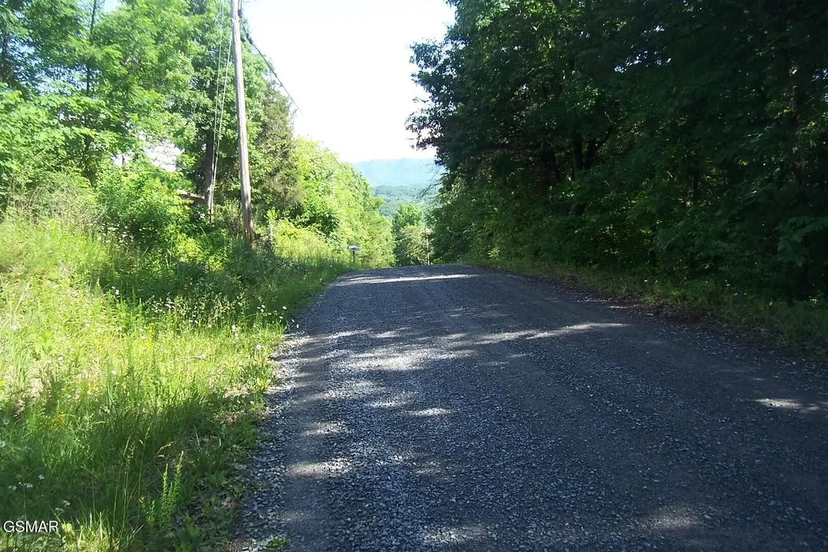 21 Clearwood Road, Newport, TN 37821 - #1