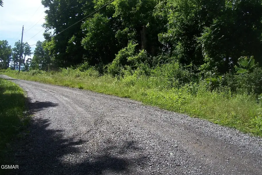 21 Clearwood Road, Newport, TN 37821 - #2