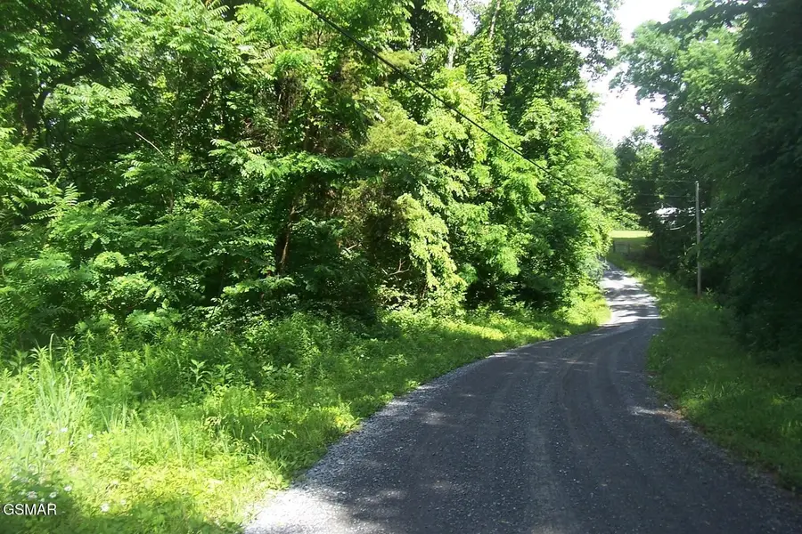 21 Clearwood Road, Newport, TN 37821 - #3