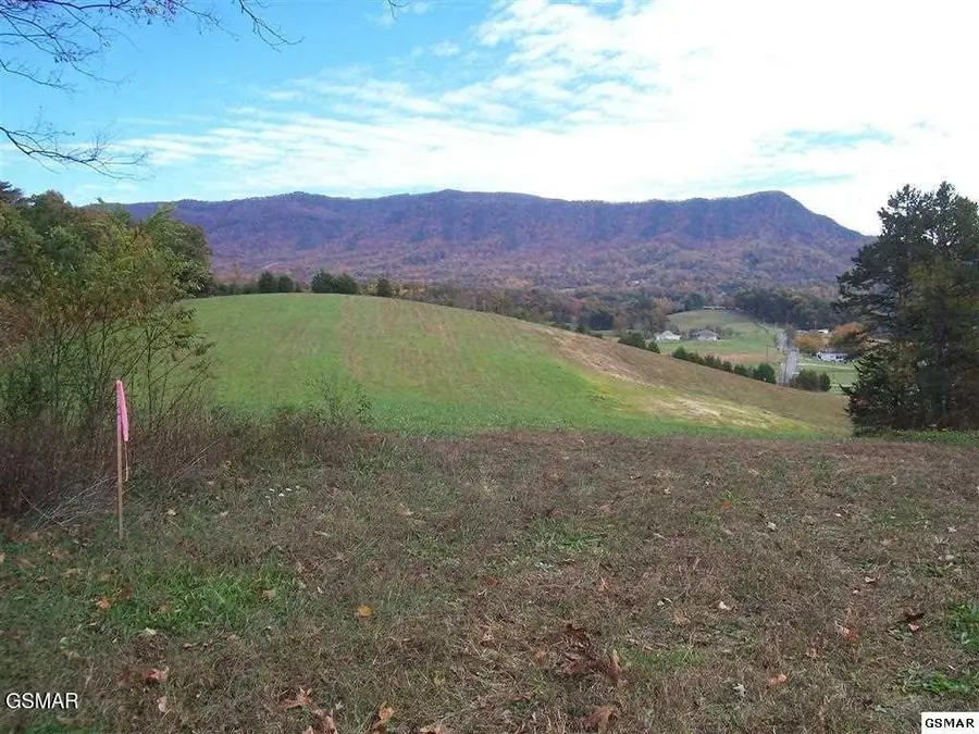 2 Newport Highway Highway, Sevierville, TN 37876 - #3