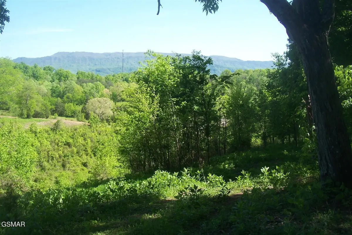 1 Chapman Highway Highway, Seymour, TN 37865 - #1