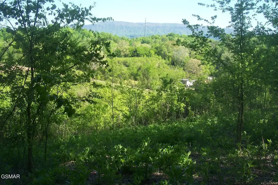 1 Chapman Highway Highway, Seymour, TN 37865 - #3
